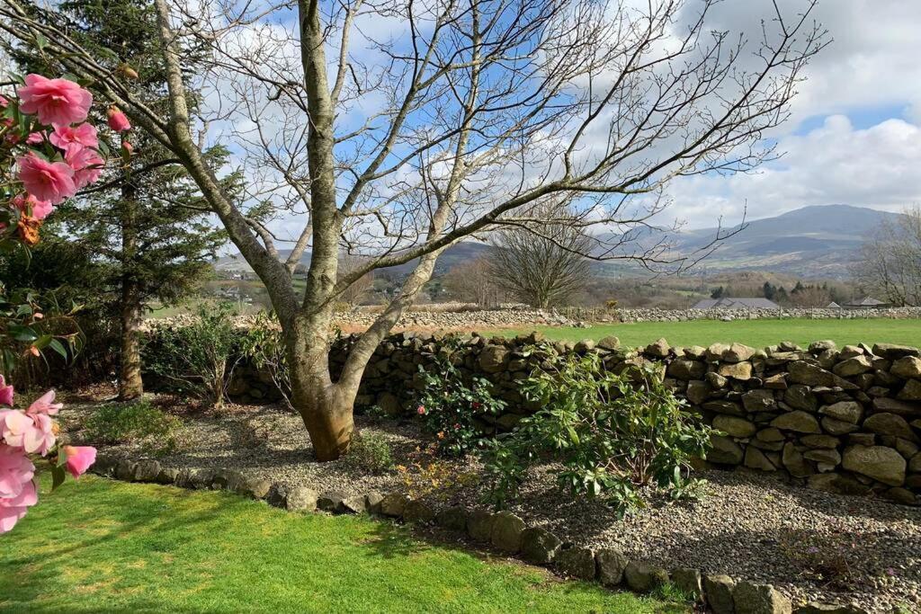 Snowdonia Cabin Caernarfon Exterior foto