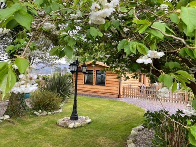 Snowdonia Cabin Caernarfon Exterior foto